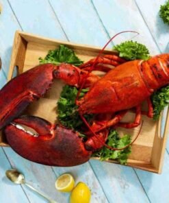 10 lb – 15 lb Live Canadian Lobster